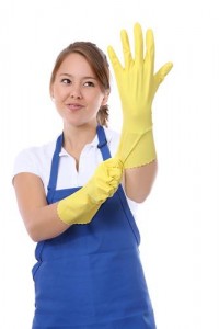 domestic cleaning franchise