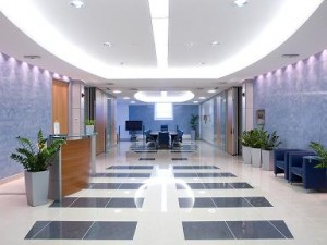 Office cleaning professionals