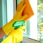 Domestic Cleaning Franchising increasing in popularity