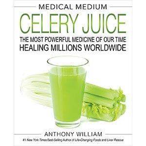 Celery Book