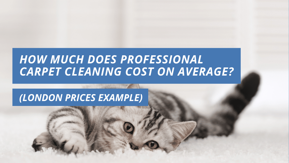 How much does professional carpet cleaning cost on average? (London prices example)