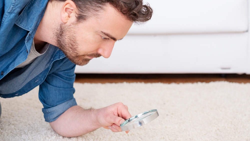 How to Prepare Your Carpets for Holiday Foot Traffic