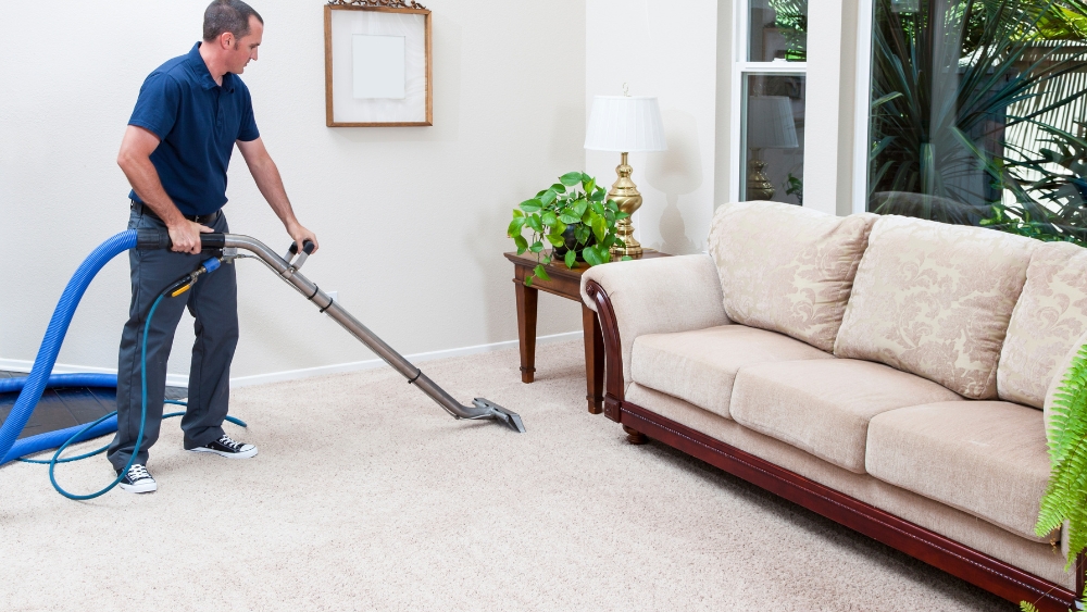 Keeping Your Carpets Clean and Fresh with Pets at Home