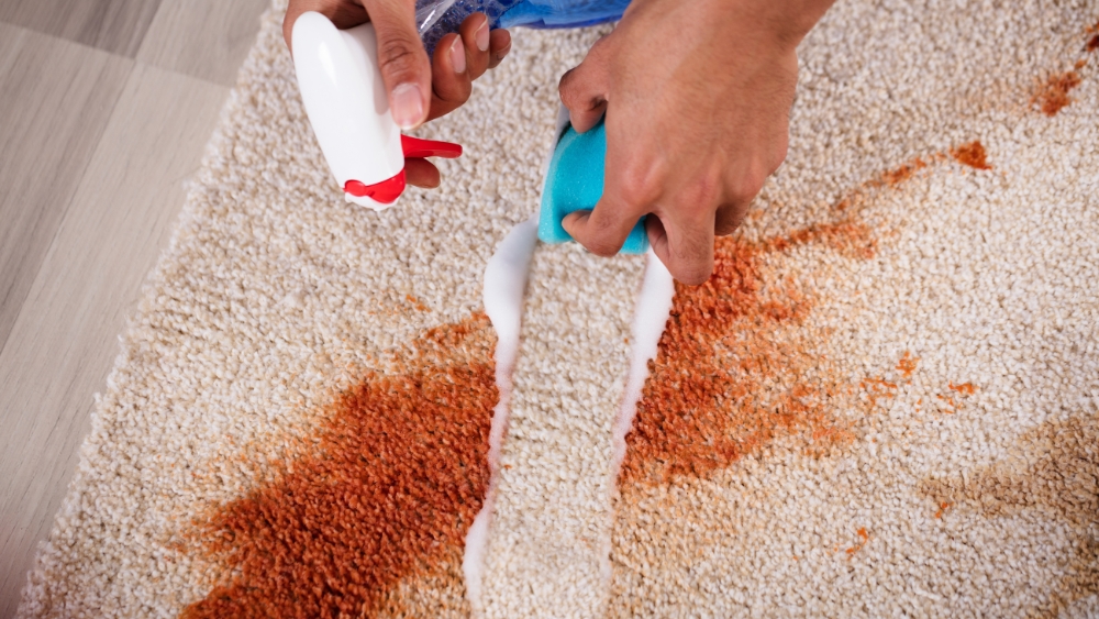 Pet Stain Cleaning