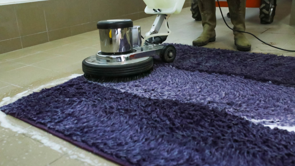 The ROI of Clean Carpets: How Professional Maintenance Can Save Your Business Money