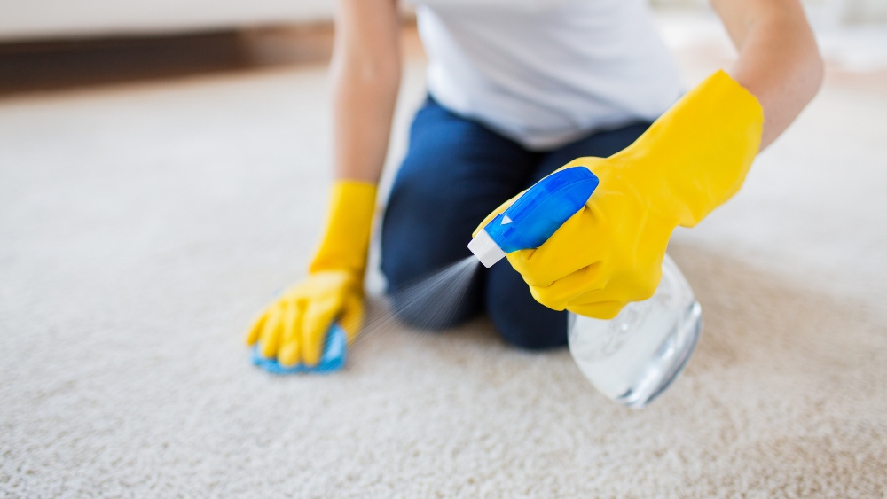  How To Clean A Carpet Without A Vacuum